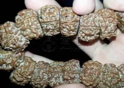 金刚菩提缝隙发白怎么清理 金刚菩提的清洗保养