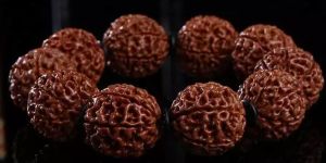 星月菩提和金刚菩提的区别 哪个更好