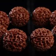 星月菩提和金刚菩提的区别 哪个更好