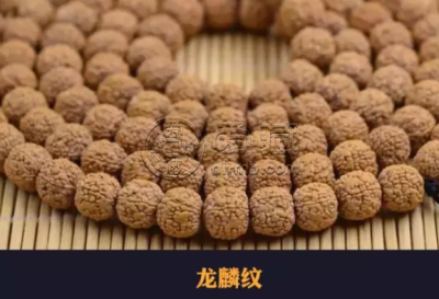 小金刚纹路种类图解 小金刚纹路种类汇总