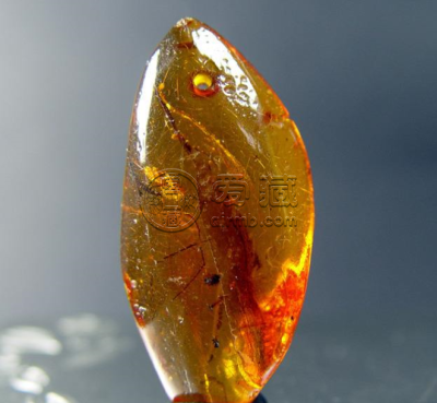 戴琥珀的风水   琥珀保养秘诀