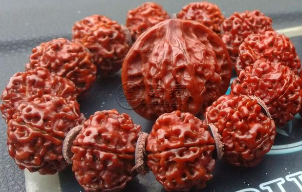 大金刚手串怎么盘玩 金刚菩提的刷与把玩