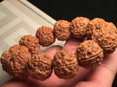 蜂窝金刚菩提子包浆图片 蜂窝金刚菩提子