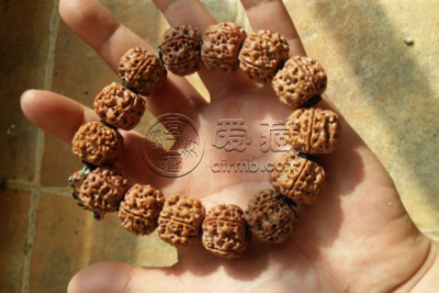 金刚泡水5个小时后阴干多久 金刚菩提保养