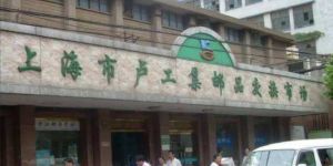 卢工韩国一级片交易市场官网 地址