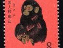 80年猴票 80年猴票最新价格及图片