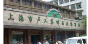 上海卢工钱币市场 地址 最新行情
