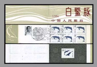 白暨豚小本票价格 投资价值分析