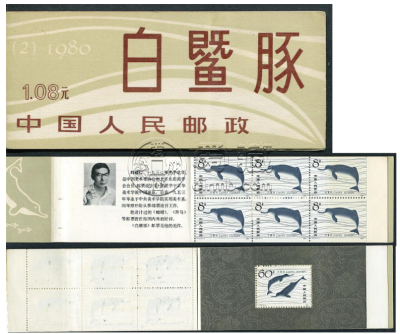 白暨豚小本票价格 投资价值分析