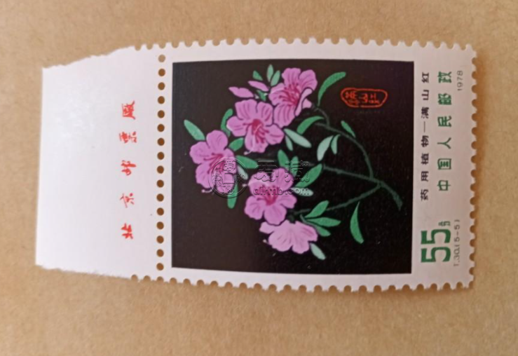 T30草藥一郵票價格 收藏價值分析