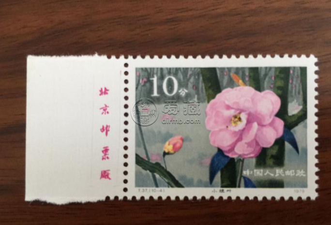 T37山茶郵票價格 整版票價格