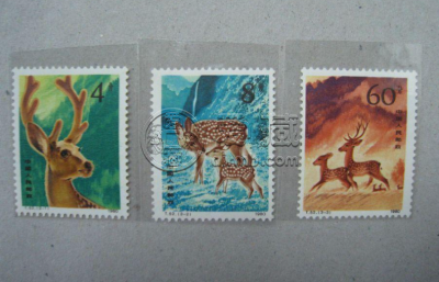 T52梅花鹿邮票价格 最新价格及图片