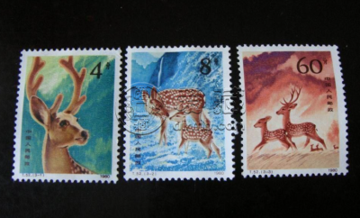 T52梅花鹿邮票 发行背景