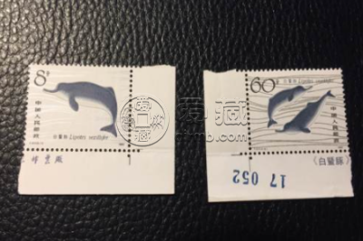 T57白暨豚邮票价格 整版票价格