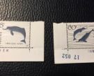 T57白鱀豚邮票 T57白鱀豚
