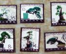 T61盆景邮票价格 大版票价格