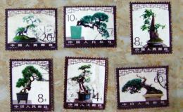 T61盆景邮票价格 大版票价格