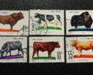 T63畜牧邮票价格 T63畜牧大版票价格