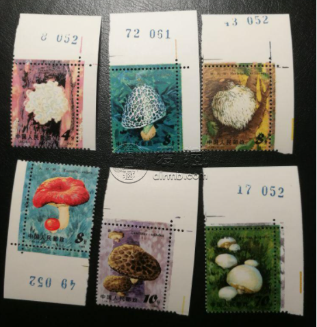 T66食用菌邮票价格 整版票价格及图片