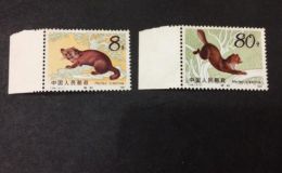 T68紫貂邮票价格 T68紫貂邮票大版张价格