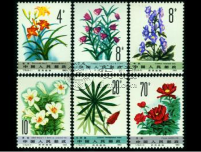 T72草药二邮票价格 整版价格