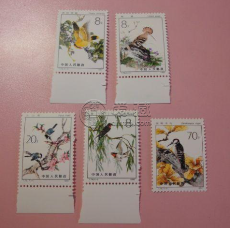 T79益鳥郵票價(jià)格 T79益鳥郵票整版票價(jià)格