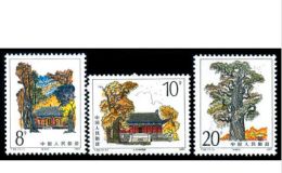 T84黄帝陵邮票 单枚价格图片
