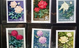T93月季花邮票价格 最新价格整版票