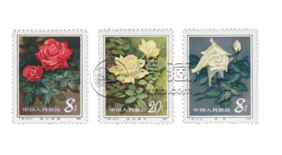 T93月季花邮票价格 最新价格整版票