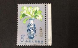 T101中国保险邮票 单枚价格