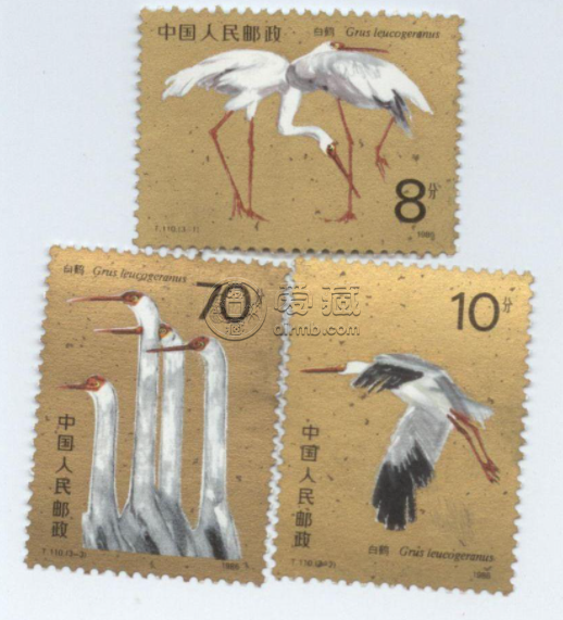 T110白鹤特种邮票价格 整套价格多少