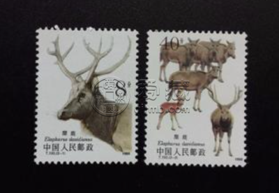 T132麋鹿邮票价格 大版票价格图片