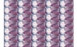 香港公益金塑料整版钞最新价格 整版钞价格及图片