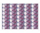 香港公益金塑料整版钞最新价格 整版钞价格及图片