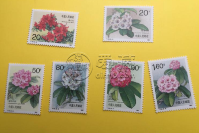 T162杜鹃花邮票价格 单枚套票价格