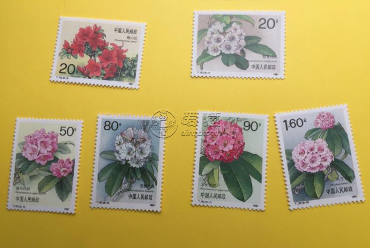 T162杜鹃花邮票价格 单枚套票价格