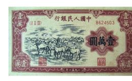 第一版人民幣壹萬圓牧馬 10000元牧馬價格值多少錢