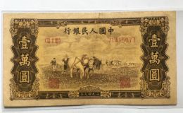 第一套人民幣壹萬圓五星水印雙馬耕地 一萬元雙馬耕地價格及圖片