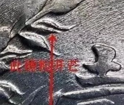 袁大头九年精发三年背哪里看 如何鉴定