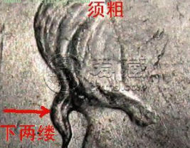 袁大头九年中发三年背特征 区分真假的方法