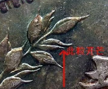 袁大头九年几种版本 袁大头九年大肩章图解