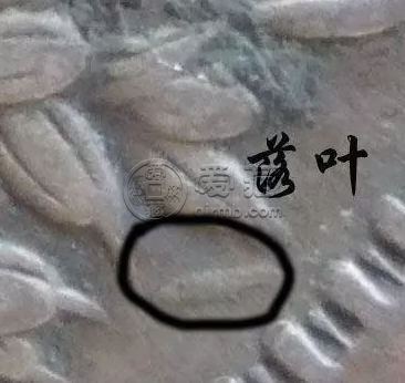 各版的袁大头 甘肃袁大头粗字版特点