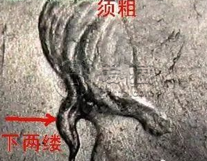 袁大头9年造版别图片 值多少钱
