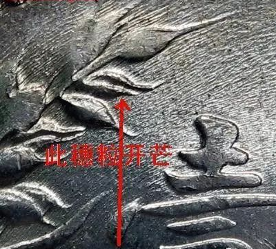 袁大头9年造版别图片 值多少钱