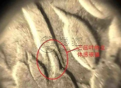袁大头三年甘肃版 真品图片及特征