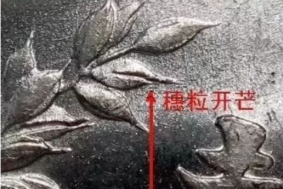 袁大头民国九年中发小嘉禾 图片及特征