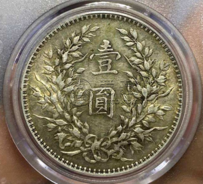 十年袁大头t点年版图片及价格 值多少钱