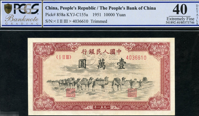 1954年一萬元駱駝價格 最近的市場行情怎么樣