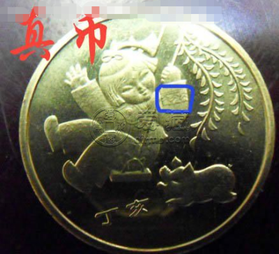 2007猪年纪念币价格 2007猪年纪念币的图片