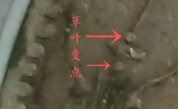 六星孙小头银元点草版图片及市场价 多少钱